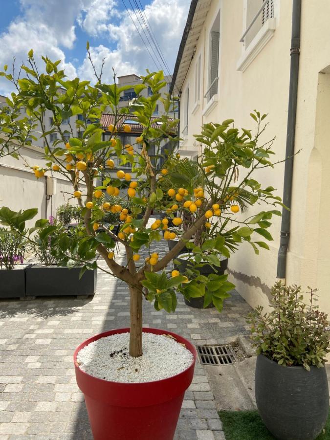Apartment Nid D F1 40m2 Calme Rdc Possibilite Jacuzzi Hammam